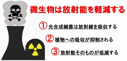 微生物は放射能を低減する 1 4 地球を救う小さな生き物たち